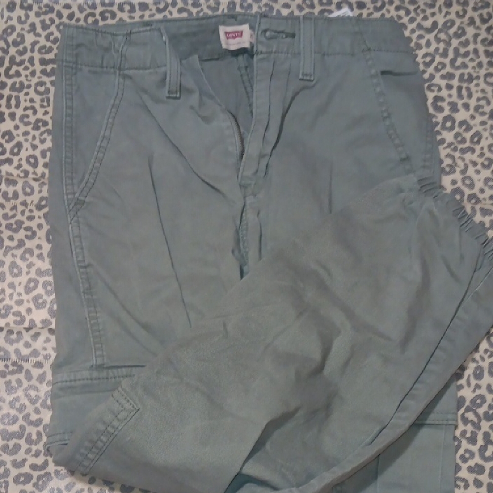Levi's Men's Sage Cargo Pants